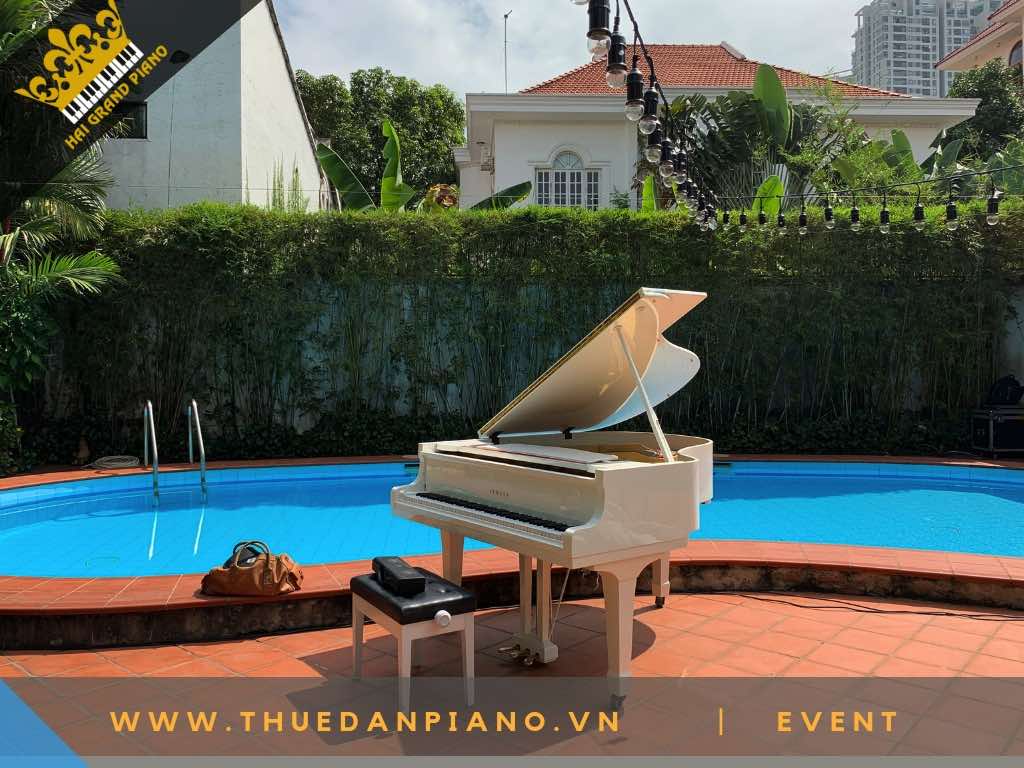 THUE DAN PIANO TP.HCM -5