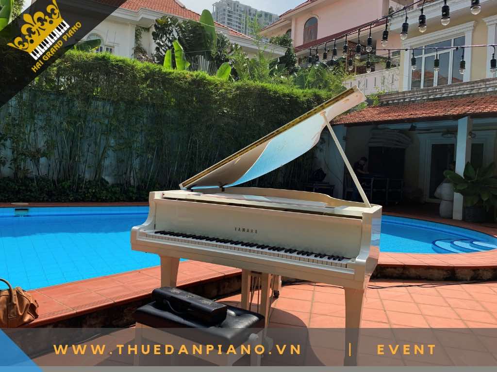 THUE DAN PIANO TP.HCM -6