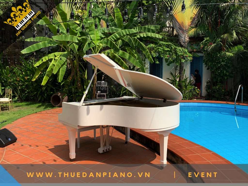 THUE DAN PIANO TP.HCM -7