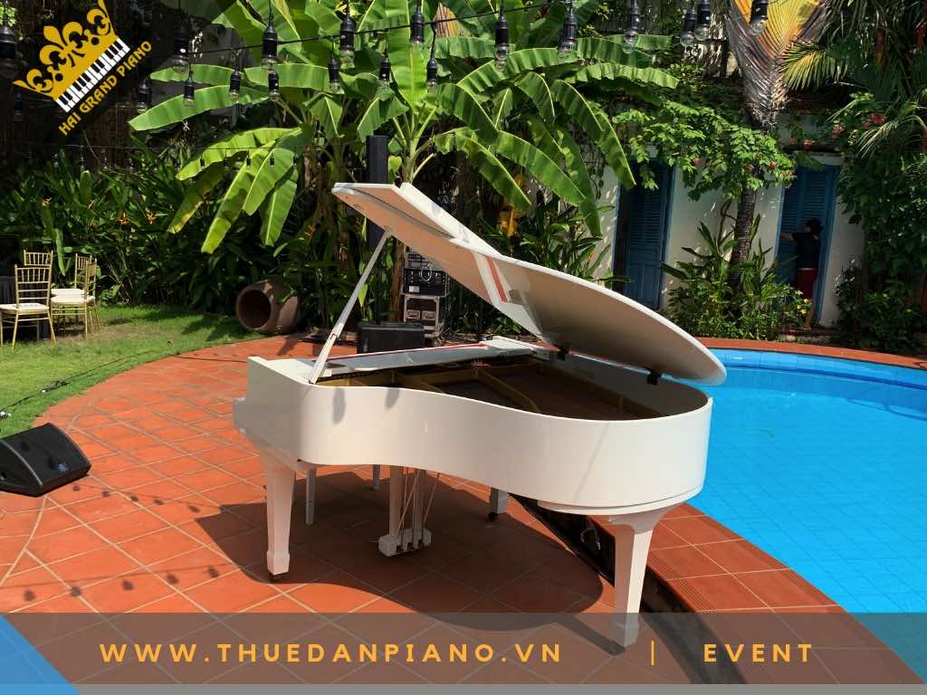 THUE DAN PIANO TP.HCM -9
