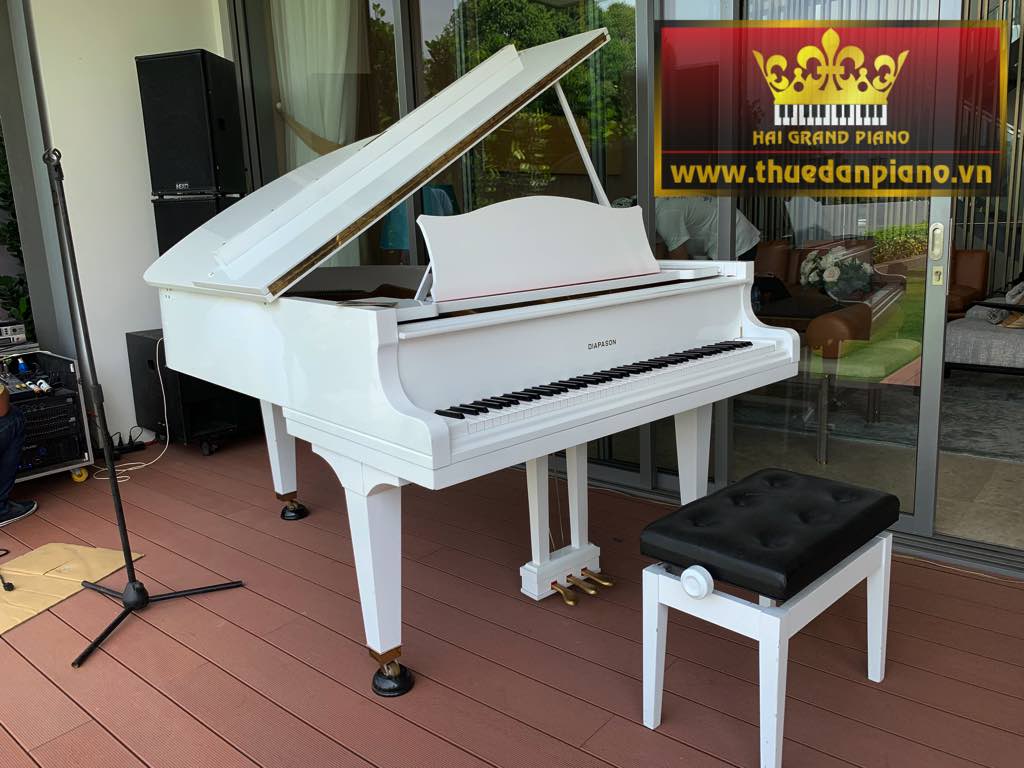 cho-thue-piano-holm-villa-1