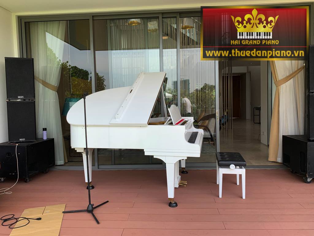 cho-thue-piano-holm-villa-2