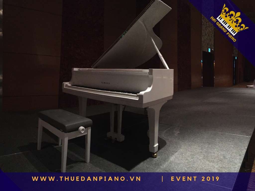 thue dan piano gia re q1_001