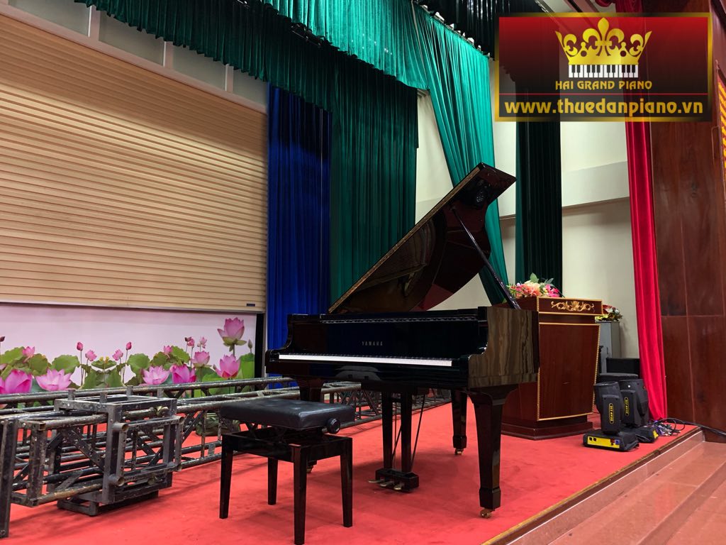 thue-piano-grand-baby-5