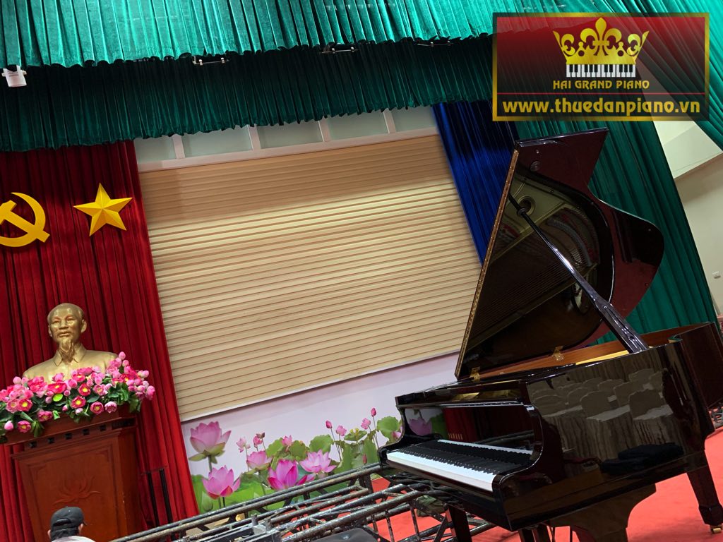 thue-piano-grand-baby-7