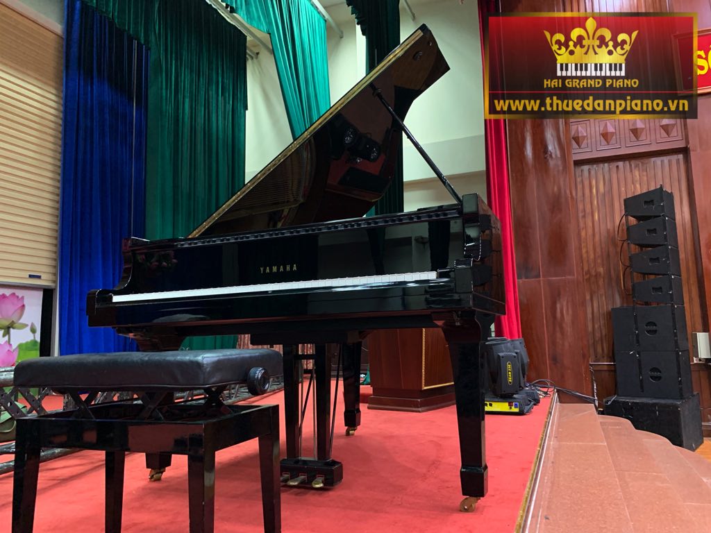 thue-piano-grand-baby-8