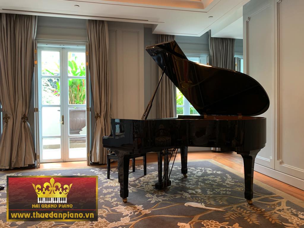 thue-dan-piano-grand-ks-8