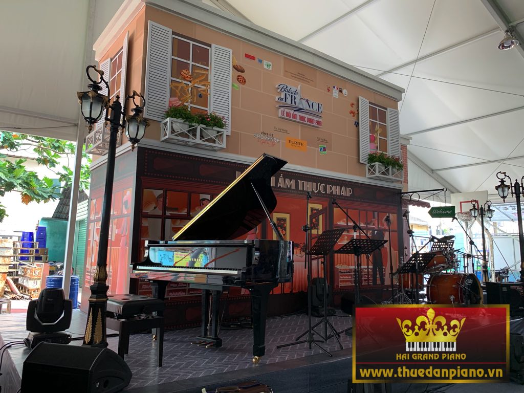 thue-piano-viet-phap-2