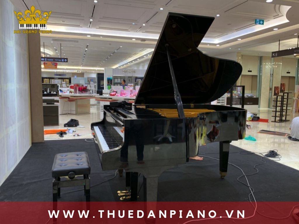 thue-dan-piano-grand-tttm_002