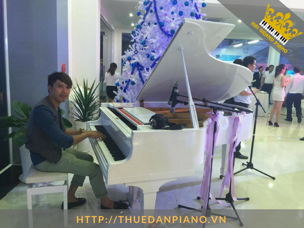 thue-dan-grand-piano-11