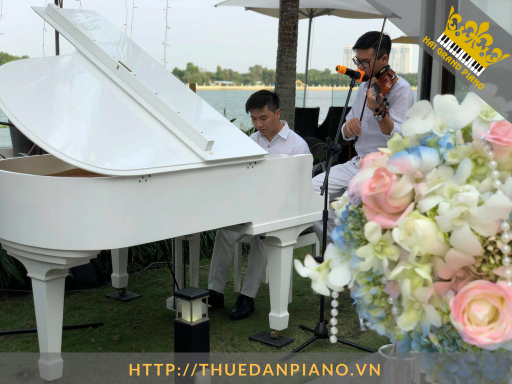 cho-thue-piano-grand-10