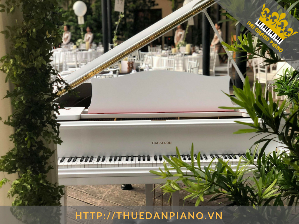 cho-thue-piano-grand-23