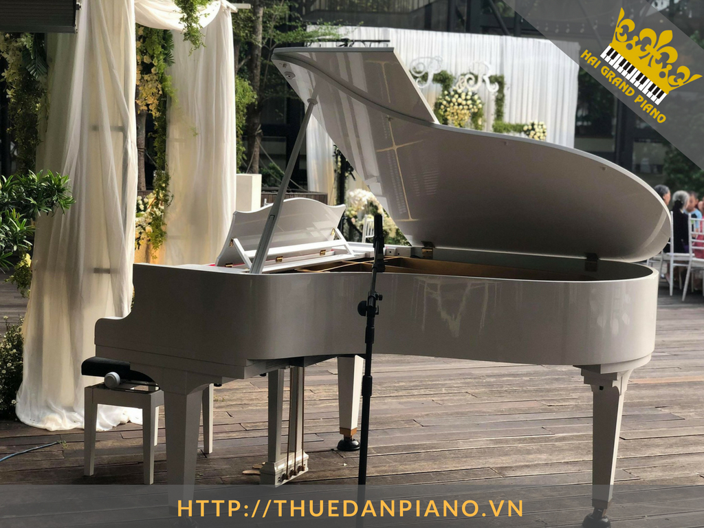 cho-thue-piano-grand-24