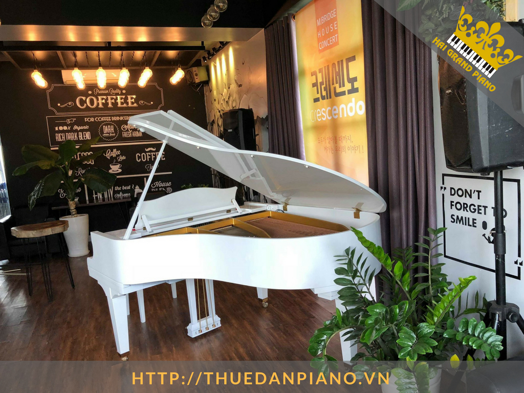 cho-thue-piano-grand-25