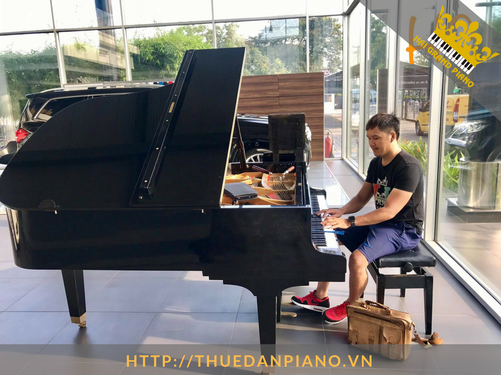 thue-dan-grand-piano-41