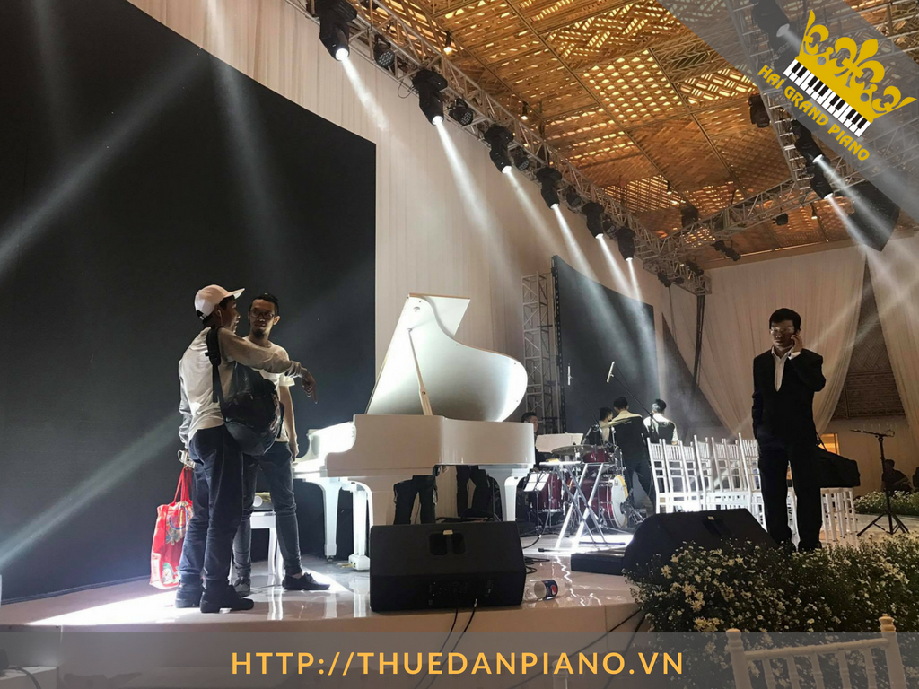 thue-dan-grand-piano-52