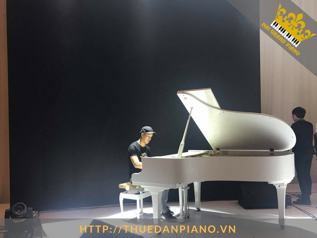 thue-dan-grand-piano-53