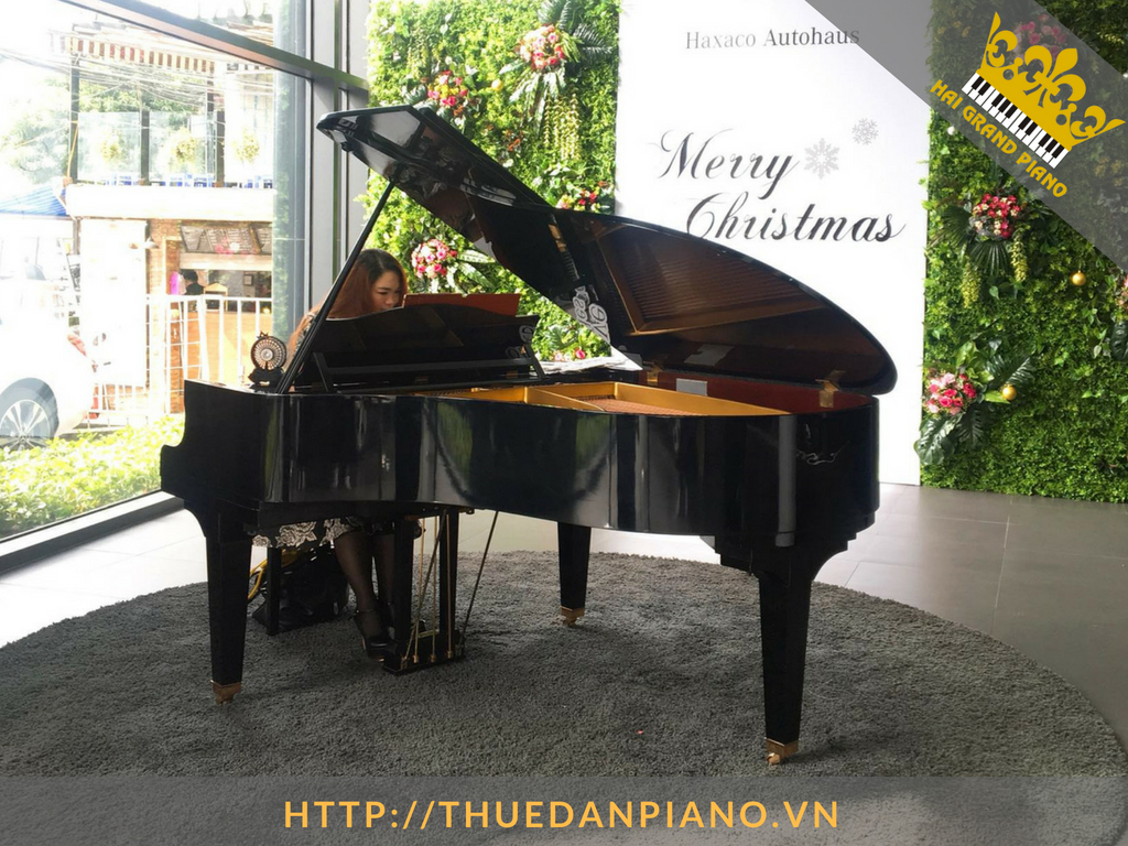 thue-dan-piano-black-5