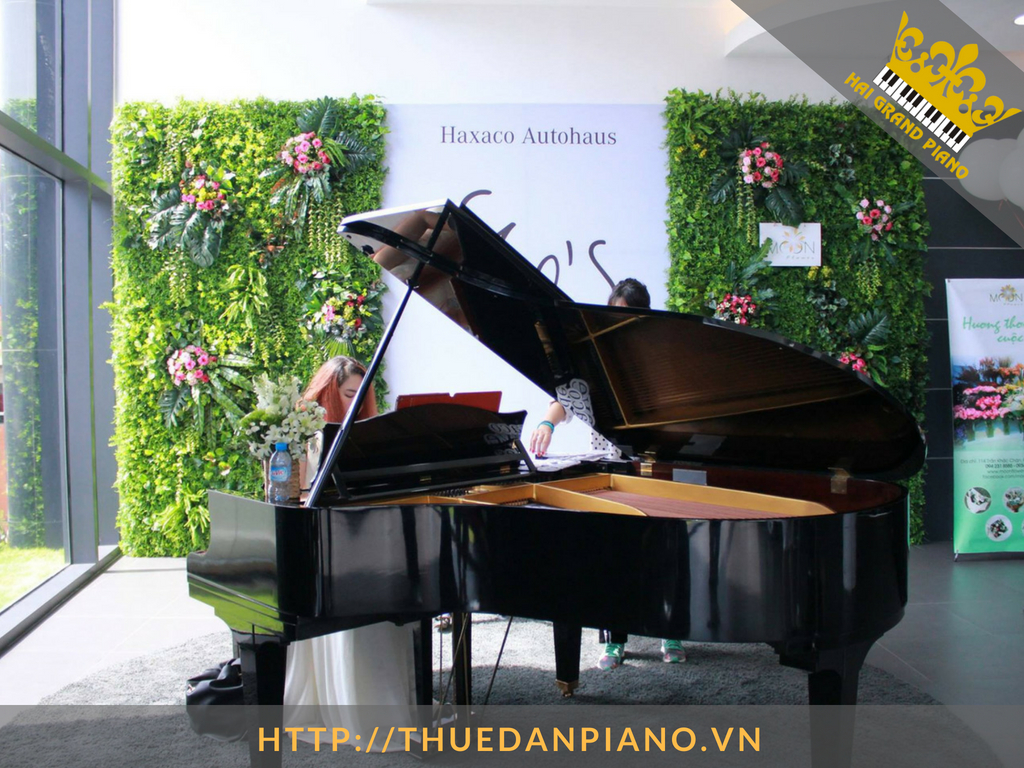 thue-dan-piano-black-6