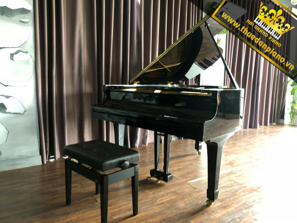 thue-dan-piano-coffee-1
