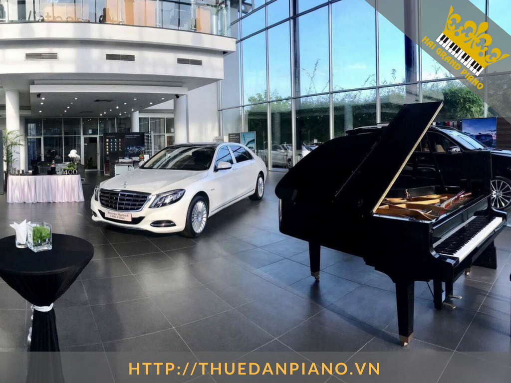 thue-dan-piano-grand-bieu-dien-1