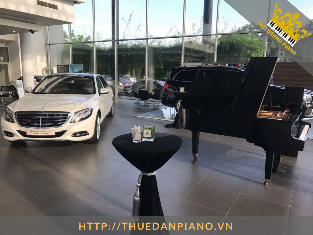 thue-dan-piano-grand-bieu-dien