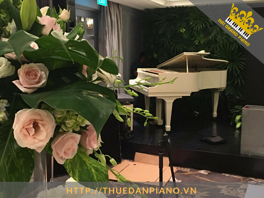 thue-grand-piano-11