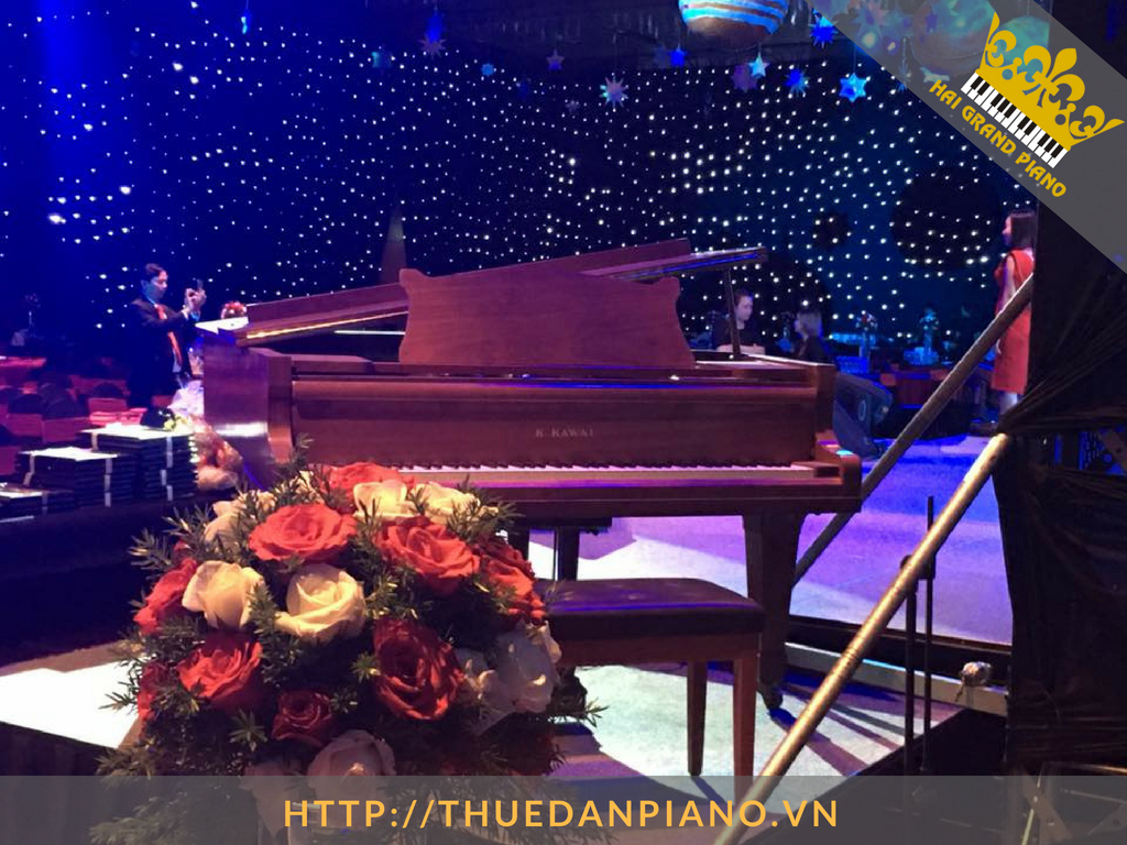 thue-grand-piano-13