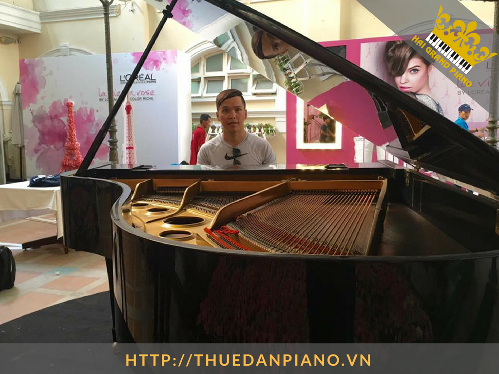 thue-grand-piano-16