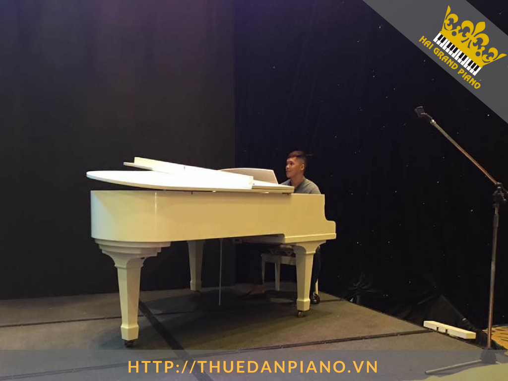 thue-grand-piano-21