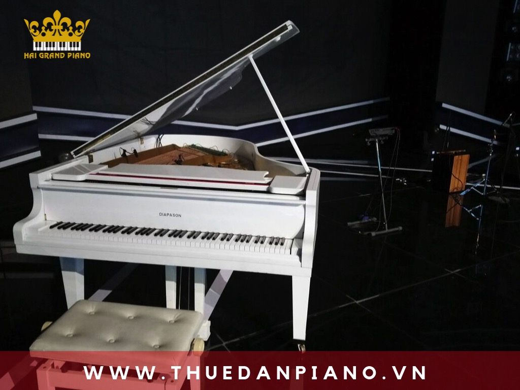 thue-piano-bieu-dien_002