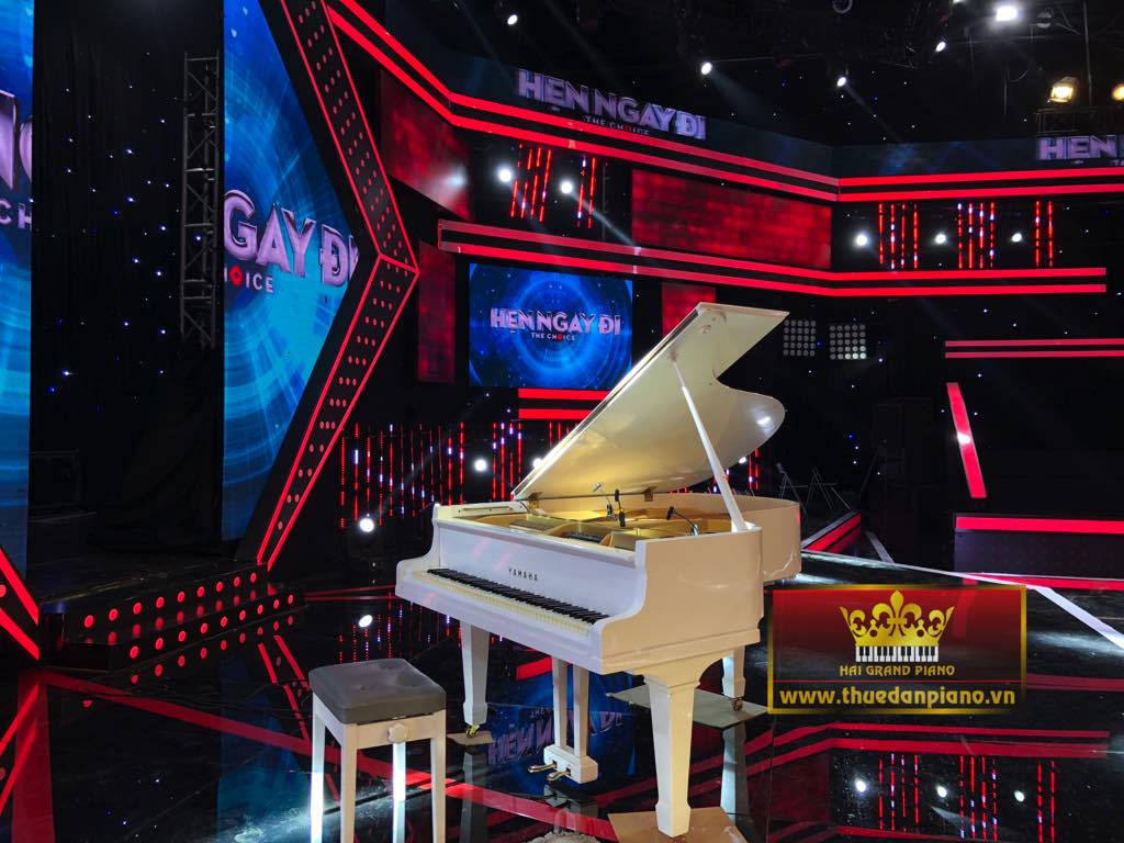 THUE-PIANO-HEN-NGAY-DI-1