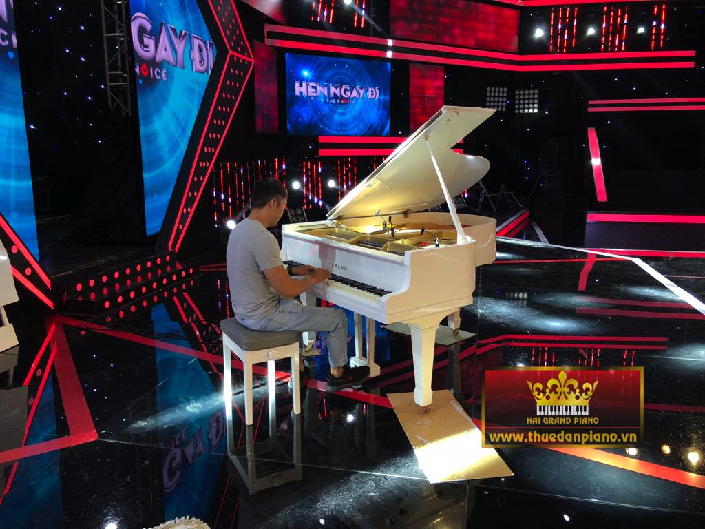 THUE-PIANO-HEN-NGAY-DI-2