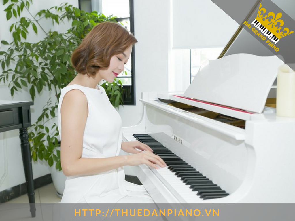 cho-thue-dan-piano-nghe-si-1
