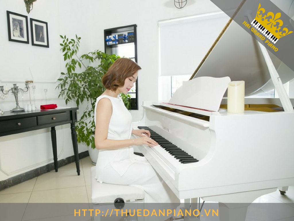 cho-thue-dan-piano-nghe-si-3