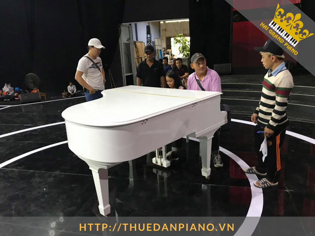 thue-dan-grand-piano-34