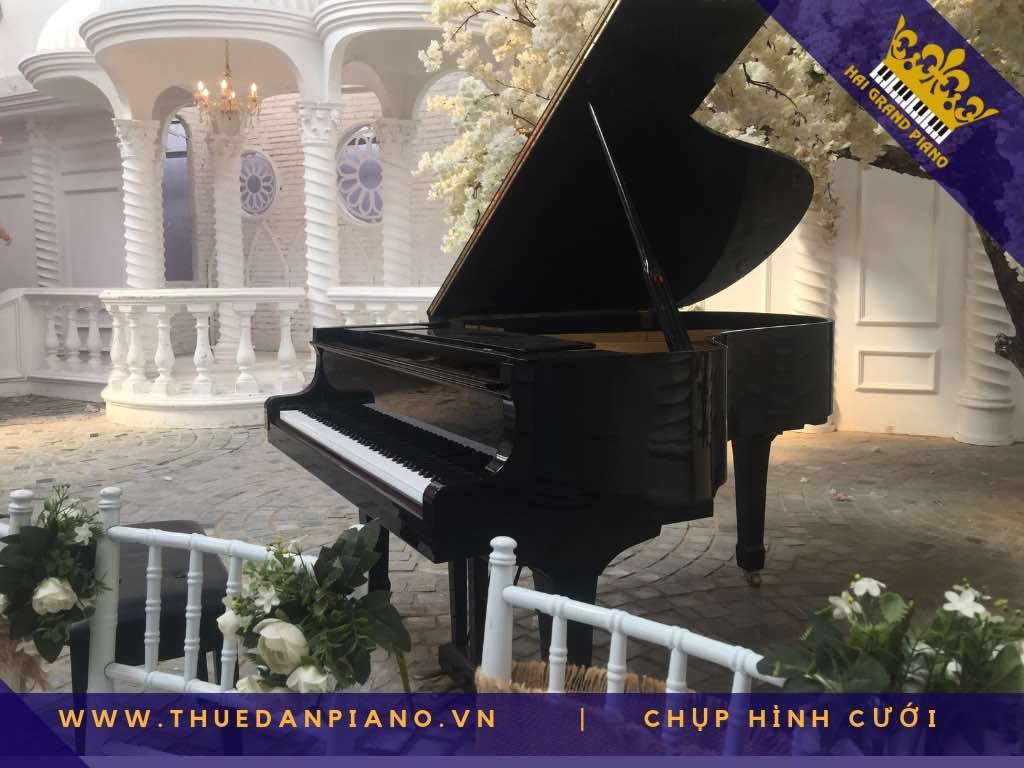 thue piano chup hinh cuoi_003