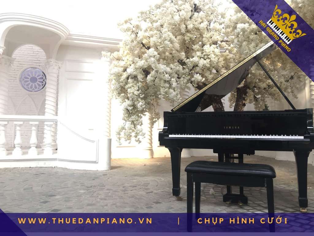 thue piano chup hinh cuoi_004