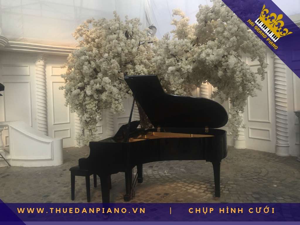 thue piano chup hinh cuoi_005