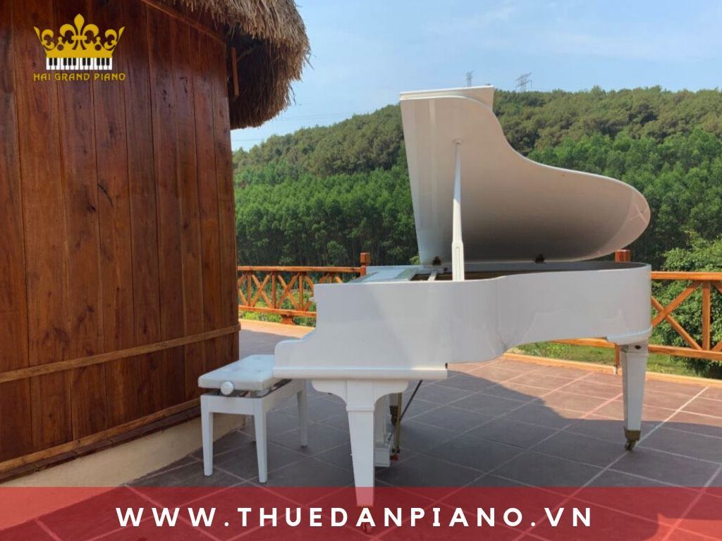 thue-dan-piano-grand-quay-phim_001