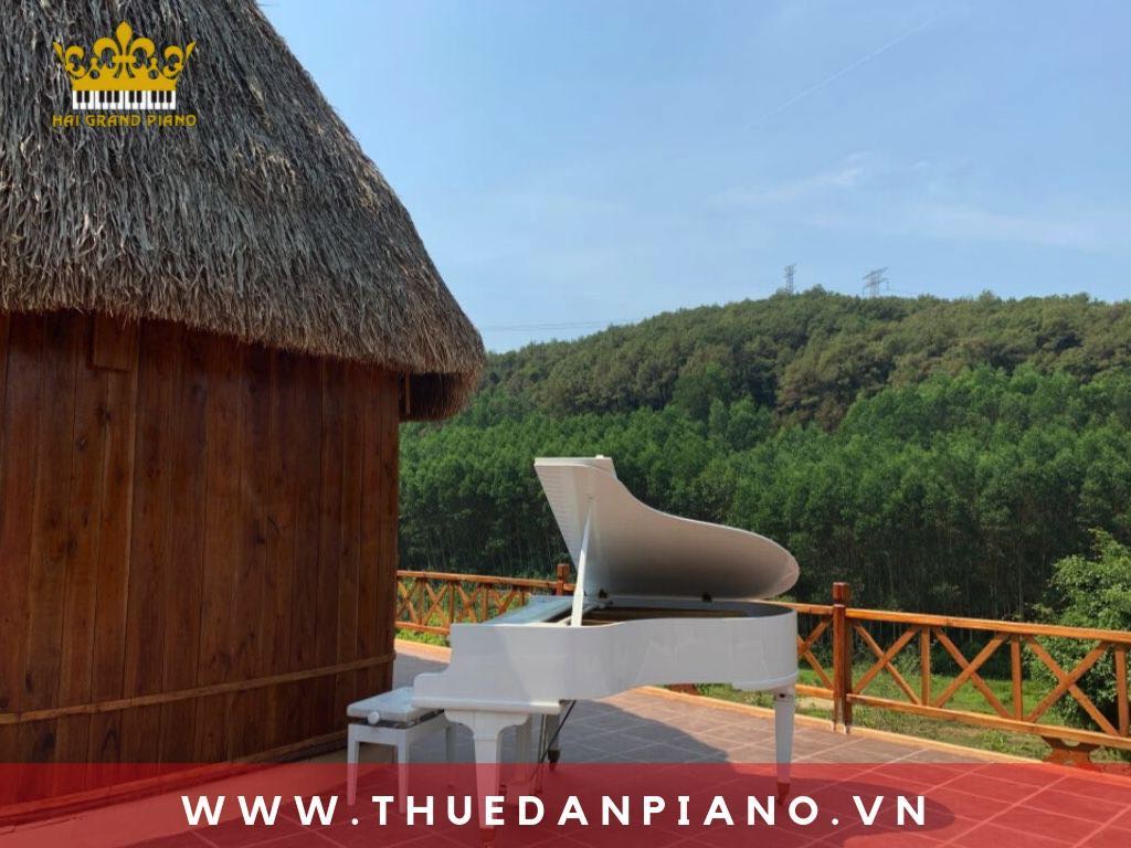 thue-dan-piano-grand-quay-phim_002