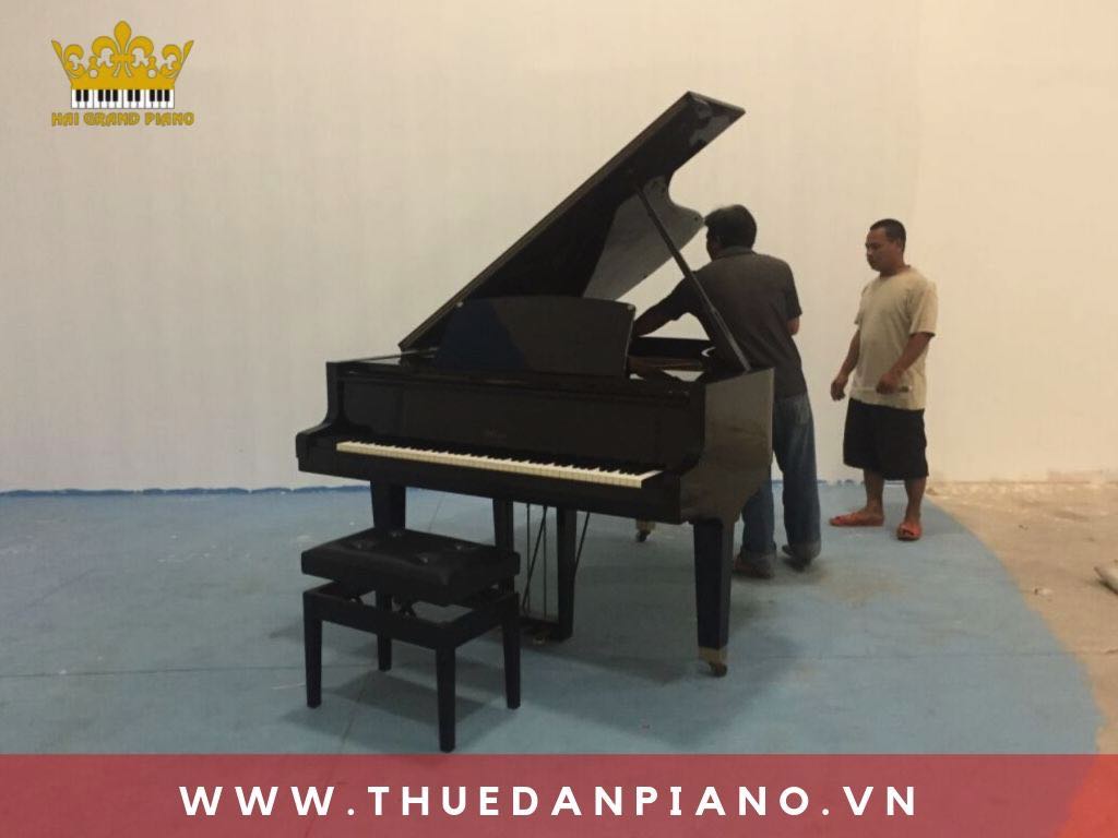 thue-piano-quay-mv_001