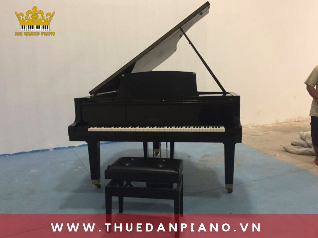thue-piano-quay-mv_003