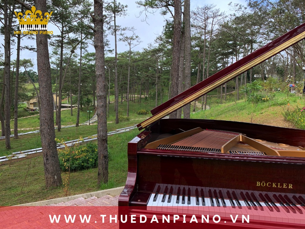 thue-dan-piano-quay-phim-da-lat_003