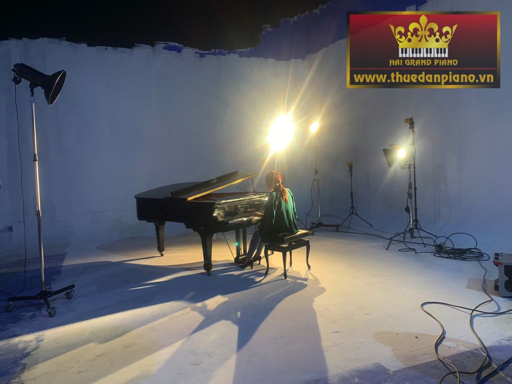 my-tam-thue-dan-piano-bieu-dien-1
