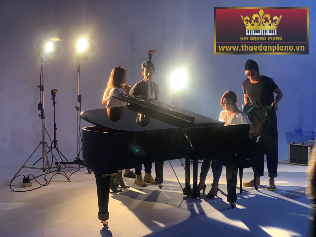 my-tam-thue-dan-piano-bieu-dien-3