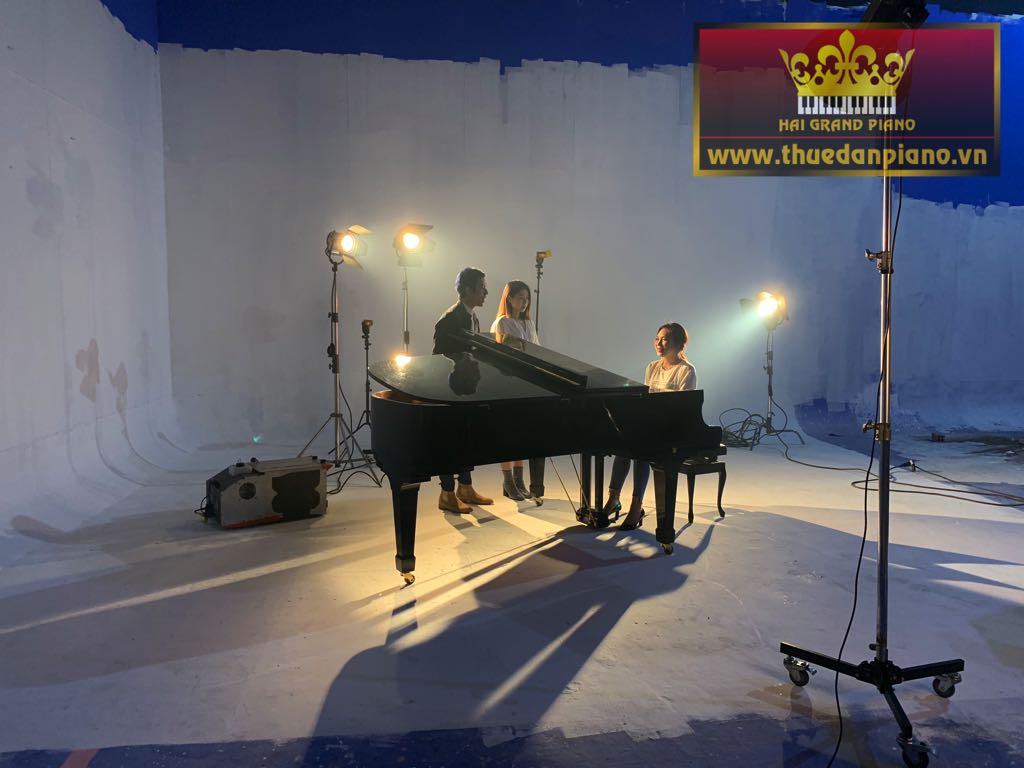 my-tam-thue-dan-piano-bieu-dien-5