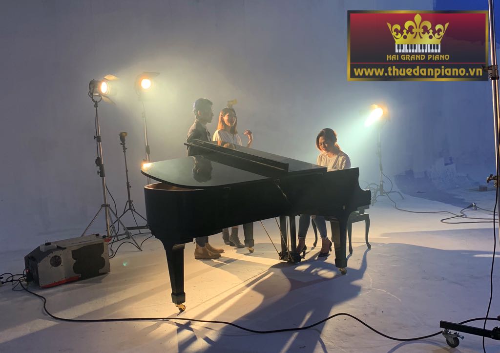 my-tam-thue-dan-piano-bieu-dien-6