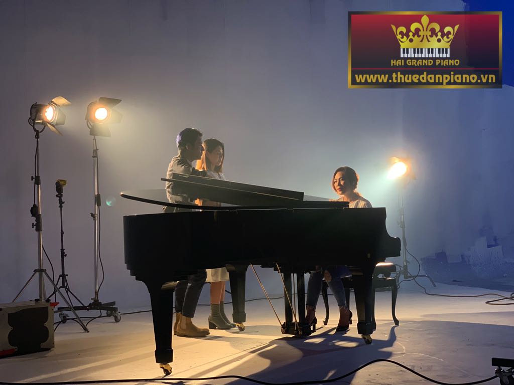 my-tam-thue-dan-piano-bieu-dien-7