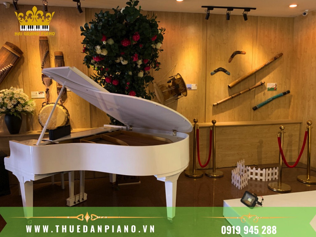 THUE-DAN-PIANO-BIEU-DIEN-RA-MAT-MV_003